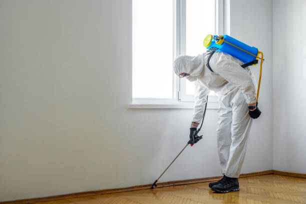 Professional Pest Control in Larose, LA